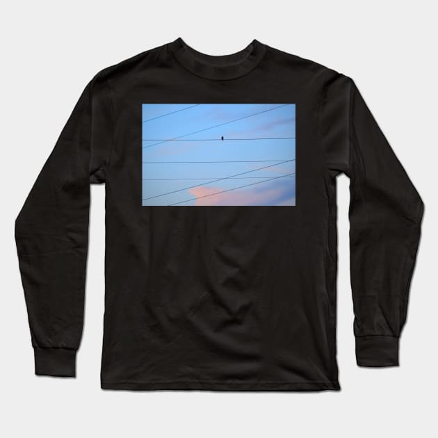 Crested Cloud, Wires and Bird Long Sleeve T-Shirt by LaurieMinor